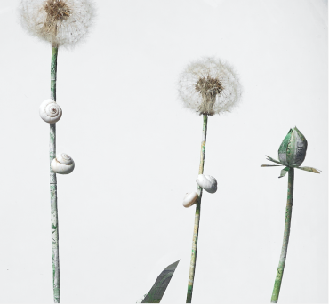 Dandelion plant sculpture made from dandelion seed heads and old English banknotes